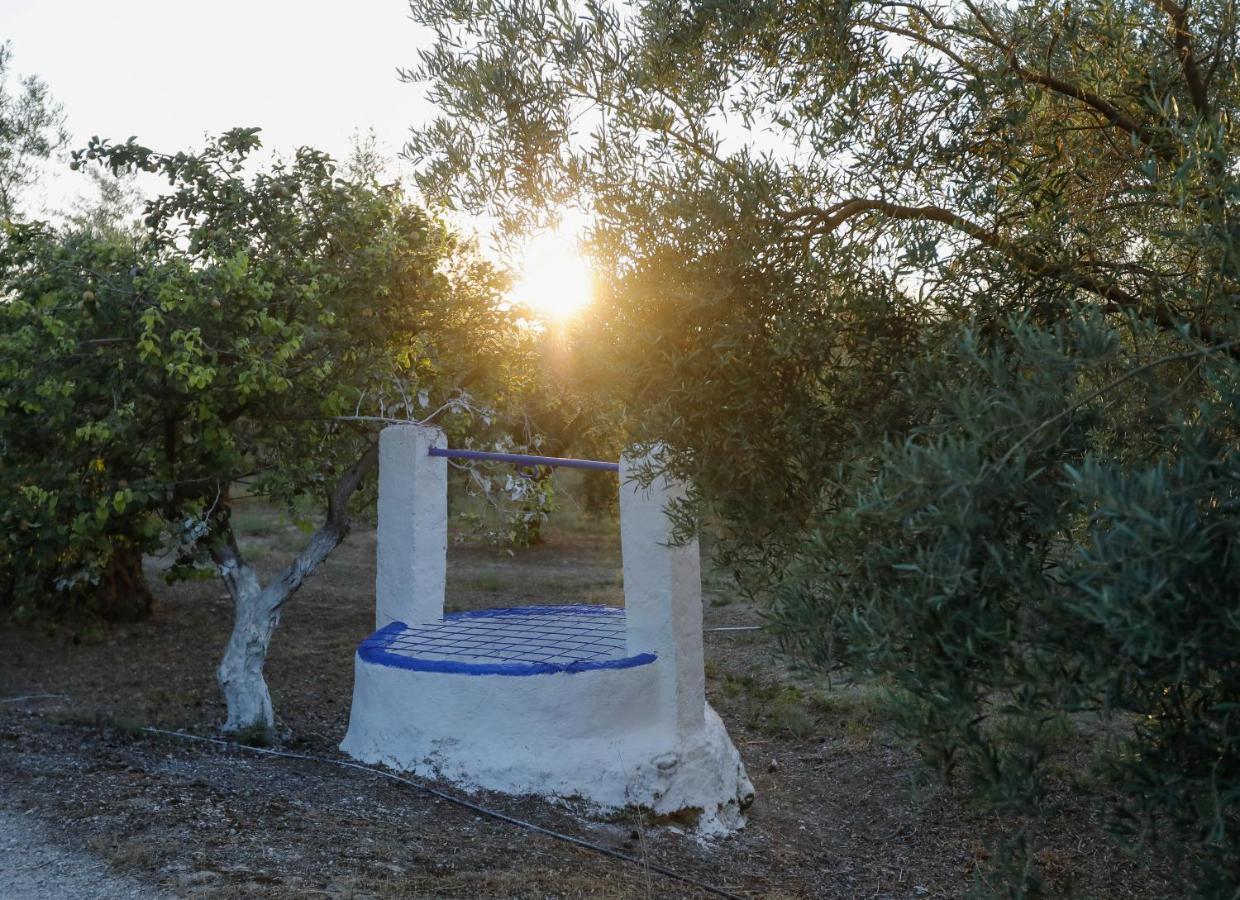 Вилла Cortijo Botanico El Cerro Кабра Экстерьер фото