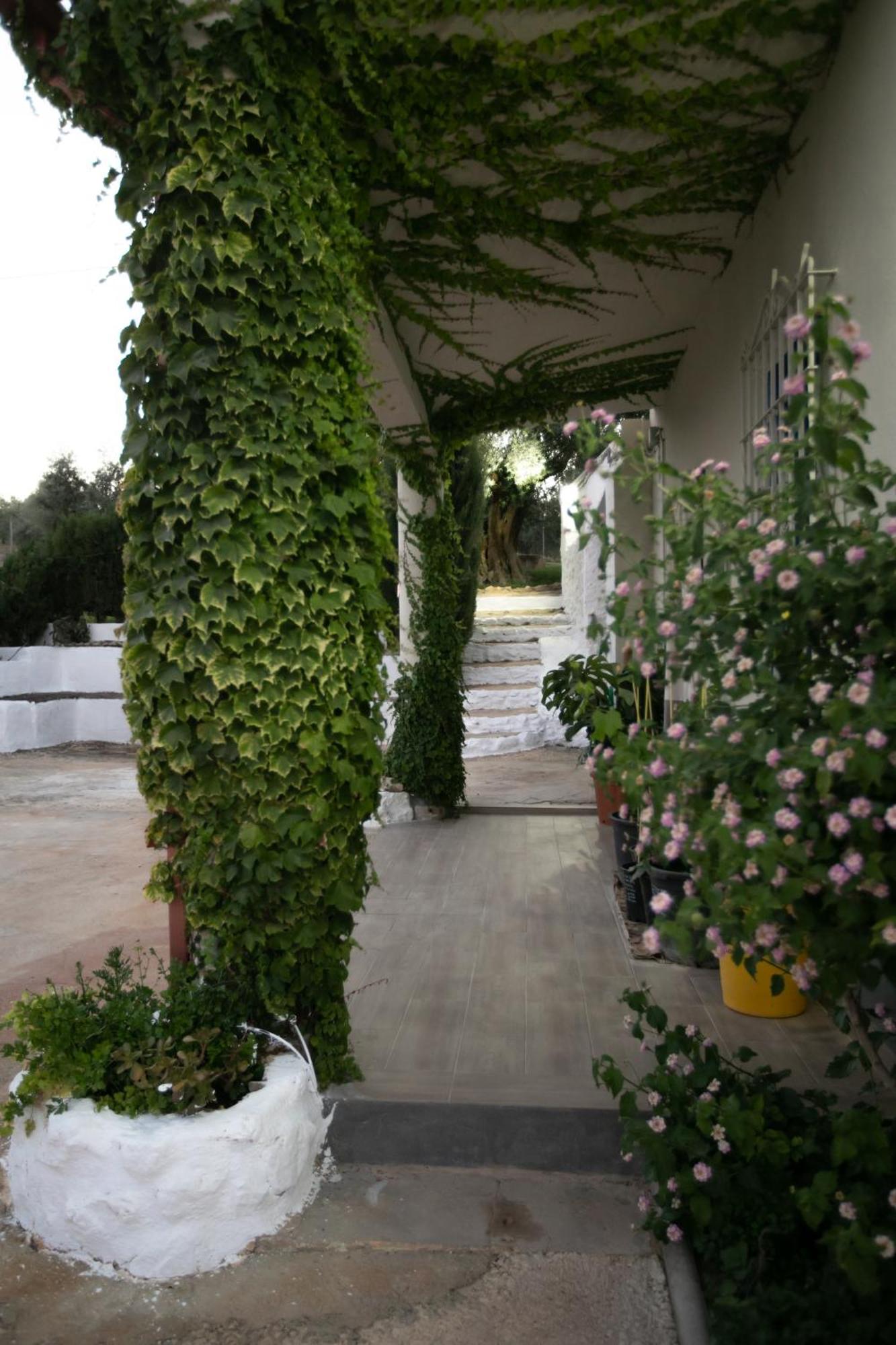 Вилла Cortijo Botanico El Cerro Кабра Номер фото